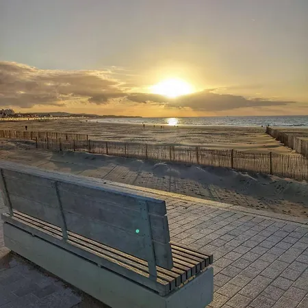 Dentelles Et Dragon * Calais