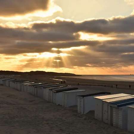 Dentelles Et Dragon * Calais